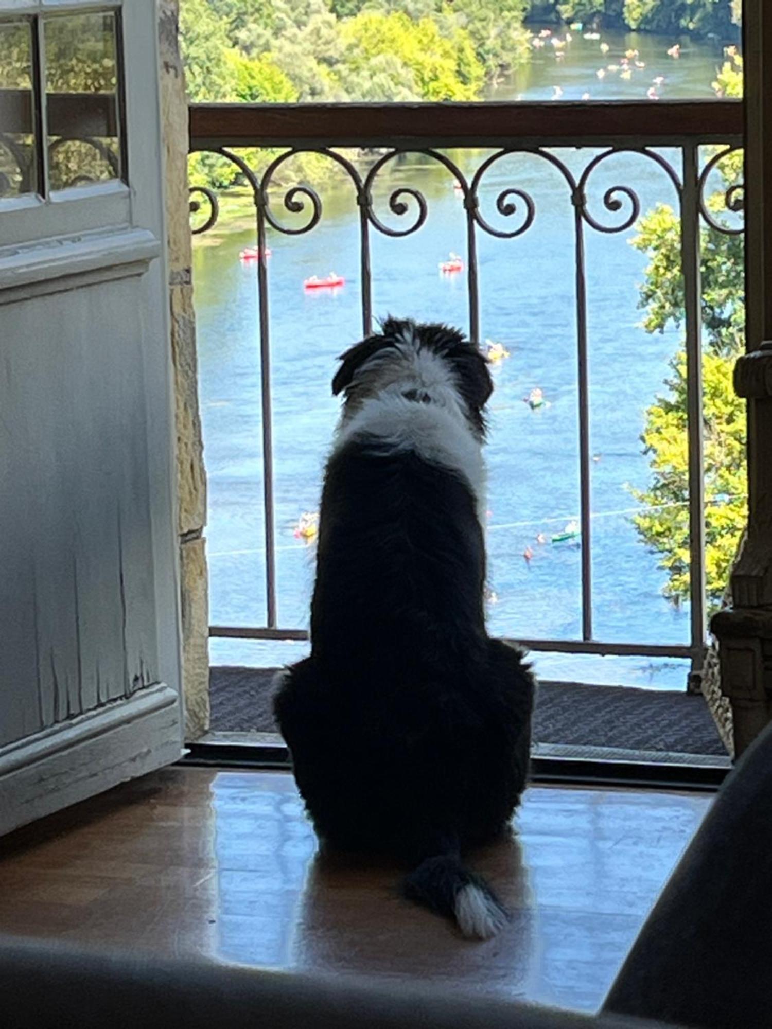 Willa Vue Magique A Castelnaud Zewnętrze zdjęcie